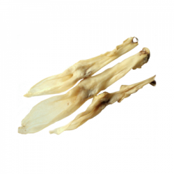 ABAKUS Uszy królicze białe 10 szt.