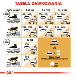 ROYAL CANIN Maine Coon Adult karma sucha dla kotów dorosłych rasy maine coon 2x 10 kg