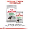 ROYAL CANIN CCN Digestive Care karma mokra - pasztet dla psów dorosłych o wrażliwym przewodzie pokarmowym 85g