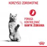 ROYAL CANIN Appetite Control Care karma mokra, plasterki w sosie, dla kotów dorosłych, uporczywie domagających się jedzenia 85g