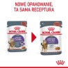 ROYAL CANIN Appetite Control Care karma mokra, plasterki w sosie, dla kotów dorosłych, uporczywie domagających się jedzenia 85g