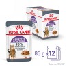 ROYAL CANIN Appetite Control Care karma mokra, plasterki w sosie, dla kotów dorosłych, uporczywie domagających się jedzenia 85g