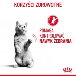 ROYAL CANIN Appetite Control Care karma mokra w galaretce dla kotów dorosłych, uporczywie domagających się jedzenia 85g