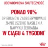 ROYAL CANIN Appetite Control Care karma mokra w galaretce dla kotów dorosłych, uporczywie domagających się jedzenia 85g
