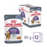 ROYAL CANIN Appetite Control Care karma mokra w galaretce dla kotów dorosłych, uporczywie domagających się jedzenia 85g