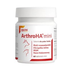 Dolfos Arthro Ha Mini - 40 tabl.