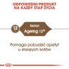 ROYAL CANIN Ageing +12 karma sucha dla kotów dojrzałych 400g