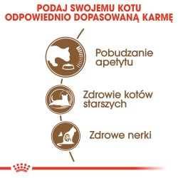 ROYAL CANIN Ageing +12 karma sucha dla kotów dojrzałych 400g