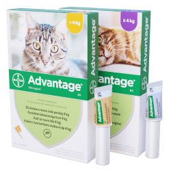 BAYER Advantage dla kotów powyżej 4kg (4 x 0,8ml)