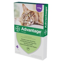 BAYER Advantage dla kotów powyżej 4kg (4 x 0,8ml)