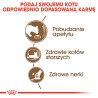 ROYAL CANIN Ageing +12 karma sucha dla kotów dojrzałych 2kg