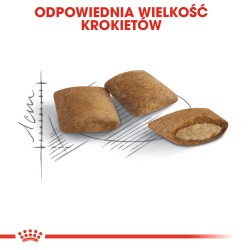 ROYAL CANIN Ageing +12 karma sucha dla kotów dojrzałych 2kg
