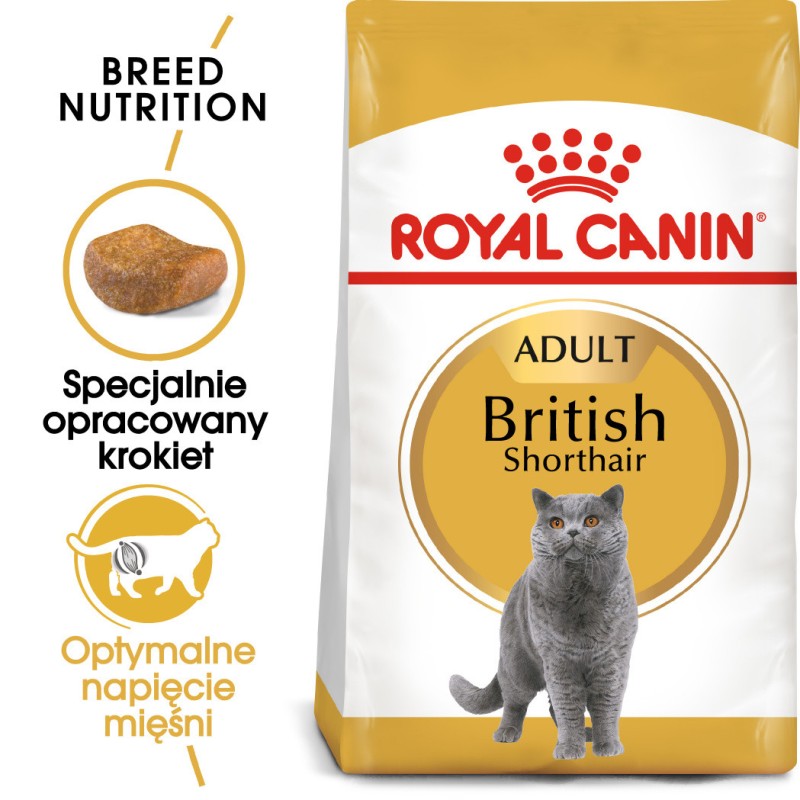 ROYAL CANIN British Shorthair karma sucha dla kotów dorosłych rasy brytyjski krótkowłosy 2kg