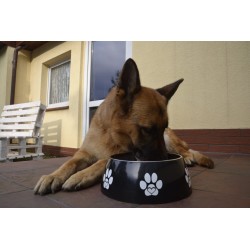 DINGO miska "Fibi" - czarna 0,22l