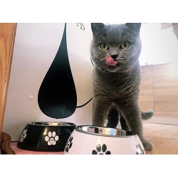 DINGO miska "Fibi" - czarna 0,9l