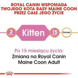 ROYAL CANIN Maine Coon Kitten karma sucha dla kociąt do 15 miesiąca, rasy maine coon 400g