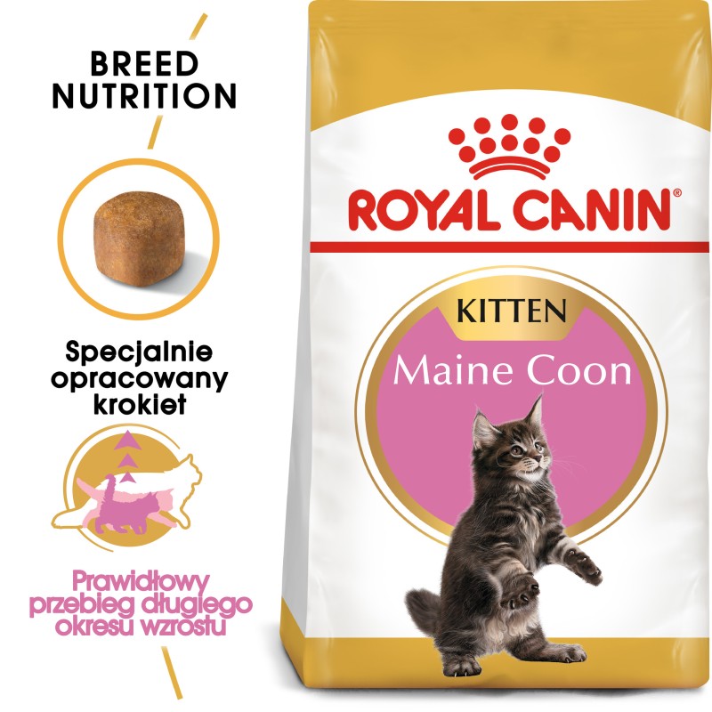 ROYAL CANIN Maine Coon Kitten karma sucha dla kociąt do 15 miesiąca, rasy maine coon 4 kg