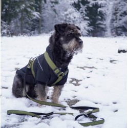 DINGO smycz "Scandi" przedłużana - zielona 3,0 x 220 cm