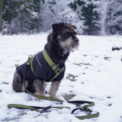 DINGO smycz "Scandi" przedłużana - szara 2,0 x 220 cm