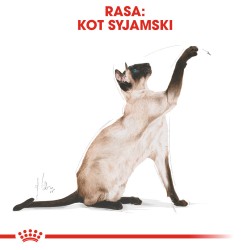 ROYAL CANIN Siamese Adult karma sucha dla kotów dorosłych rasy syjamskiej 2kg