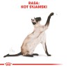 ROYAL CANIN Siamese Adult karma sucha dla kotów dorosłych rasy syjamskiej 2kg