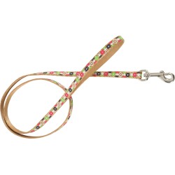 ZOLUX Smycz nylonowa Arrow - brązowy