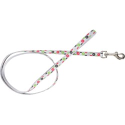 ZOLUX Smycz nylonowa Arrow - szary