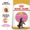 ROYAL CANIN Maine Coon Kitten karma sucha dla kociąt do 15 miesiąca, rasy maine coon 10 kg