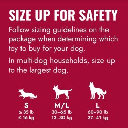 KONG Ball with Hole S