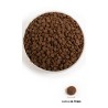 ACANA Grasslands Cat 4,5kg