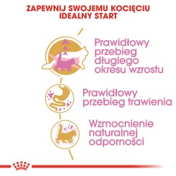 ROYAL CANIN Maine Coon Kitten karma sucha dla kociąt do 15 miesiąca, rasy maine coon 2x 10 kg