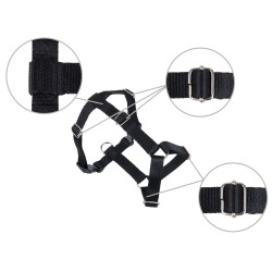 AMIPLAY Szelki Guard Samba - Czarne XL