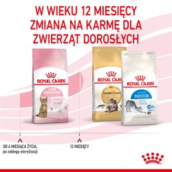 ROYAL CANIN Kitten Sterilised karma sucha dla kociąt od 4 do 12 miesiąca życia, sterylizowanych 400g