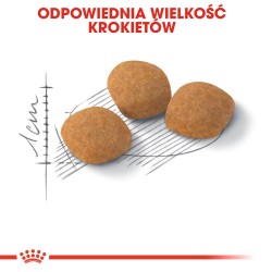 ROYAL CANIN Exigent Protein Preference karma sucha dla kotów dorosłych, wybrednych, kierujących się zawartością białka 400g