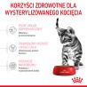 ROYAL CANIN Kitten Sterilised karma sucha dla kociąt od 4 do 12 miesiąca życia, sterylizowanych 2kg