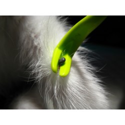 PORTICA Tick Twister Kleszczołapki - wersja standard (1 opakowanie)