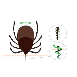 PORTICA Tick Twister Kleszczołapki - wersja standard (1 opakowanie)