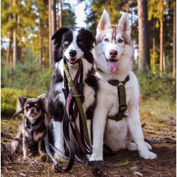 DINGO Szelki Scandi - czerwone S