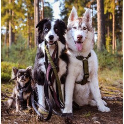 DINGO Szelki Scandi - fioletowe L