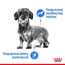 ROYAL CANIN CCN Light Weight Care karma mokra - pasztet dla psów dorosłych z tendencją do nadwagi 85g