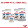 ROYAL CANIN CCN Light Weight Care karma mokra - pasztet dla psów dorosłych z tendencją do nadwagi 85g