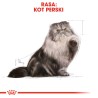 ROYAL CANIN Persian Adult karma sucha dla kotów dorosłych rasy perskiej 400g
