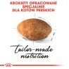 ROYAL CANIN Persian Adult karma sucha dla kotów dorosłych rasy perskiej 400g