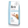 BRIT Grain Free Veterinary Diets Dog Obesity 12kg