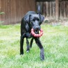 KONG Ring XL