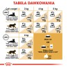 ROYAL CANIN Persian Adult karma sucha dla kotów dorosłych rasy perskiej 2x 10 kg