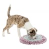 TRIXIE Junior Sniffing Carpet (śr. 38cm) - mata węchowa
