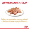 ROYAL CANIN Pomeranian Adult karma mokra, pasztet dla psów dorosłych rasy szpic miniaturowy 85g