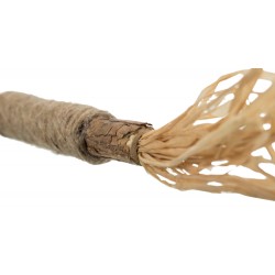 TRIXIE Patyk z matatabi z frędzlami 24 cm