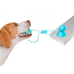 PET NOVA Piłka Dental z przyssawką 7 cm